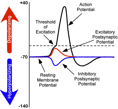 2025/2026 Electromagnetic Methods in Medicine