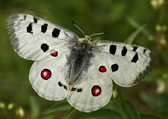 2025/2026 Krajina a biodiverzita