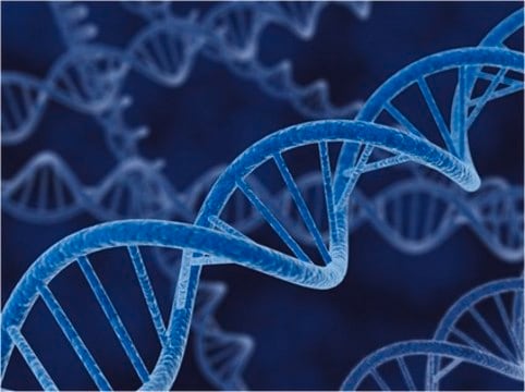 2025/2026 Výberové cvičenie z biochémie a molekulárnej biológie