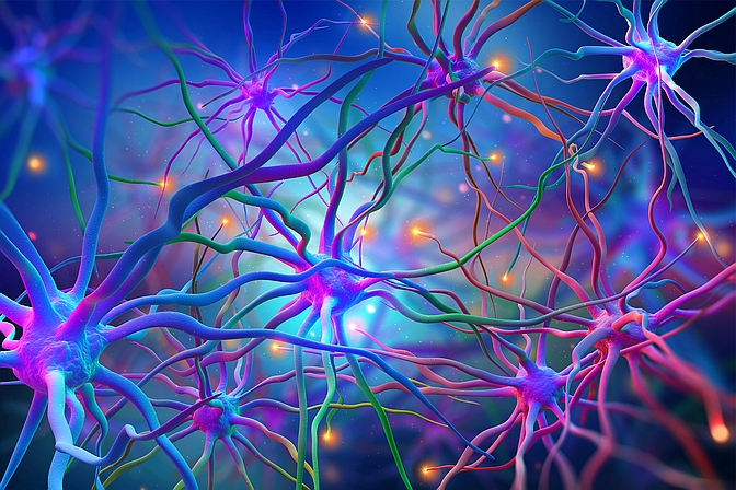 2025/2026 Neurology - General Medicine