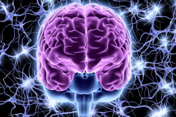 2025/2026 Neurology - Dentistry