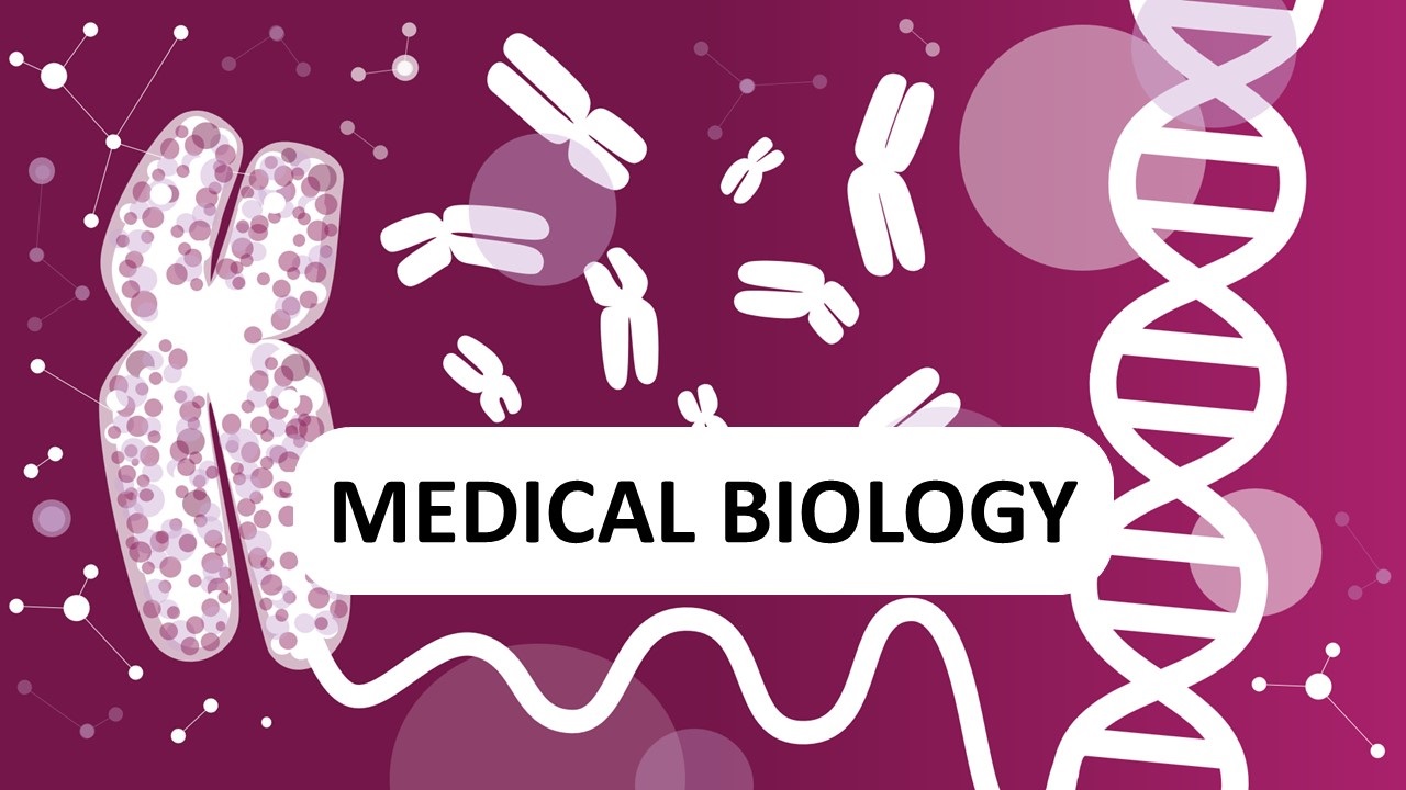 2025/2026 Medical Biology