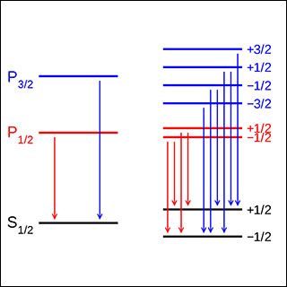 2025/2026 Physics for Girls